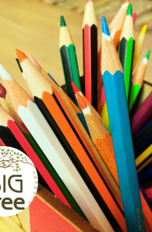 School Readiness Course
