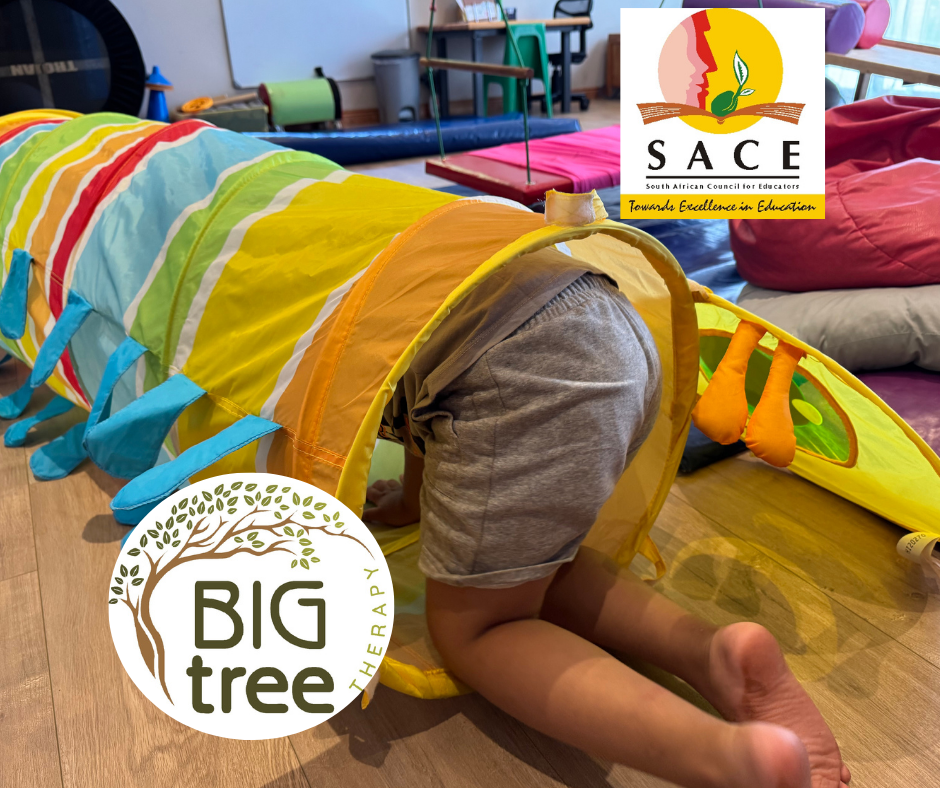 Autism Awareness and Classroom Strategies (SACE Endorsed – 5 CPTD)